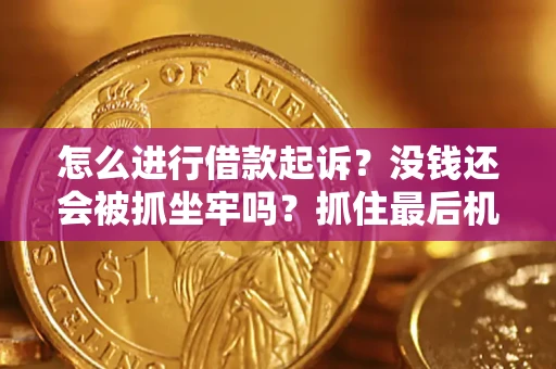 武汉怎么进行借款起诉？没钱还会被抓坐牢吗？抓住最后机会！