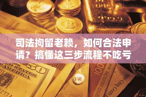武汉司法拘留老赖，如何合法申请？搞懂这三步流程不吃亏！