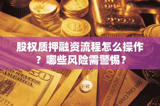 武汉股权质押融资流程怎么操作？哪些风险需警惕？