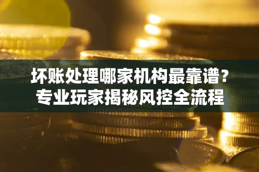 武汉坏账处理哪家机构最靠谱？专业玩家揭秘风控全流程