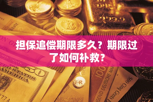 武汉担保追偿期限多久？期限过了如何补救？