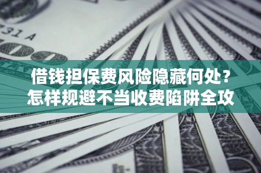 武汉借钱担保费风险隐藏何处？怎样规避不当收费陷阱全攻略！