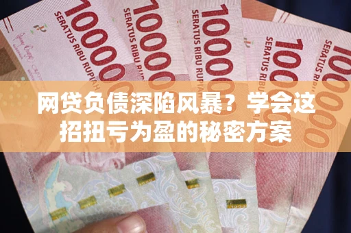 武汉网贷负债深陷风暴？学会这招扭亏为盈的秘密方案